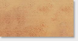 Agrob Buchtal Bodenfliese 15x30x1,1 cm Goldline goldocker R11/A 851-1020