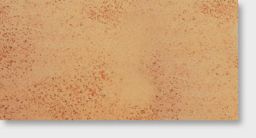 Agrob Buchtal Bodenfliese 12,5x25x1,0 cm Goldline goldocker R11/A 851-1010