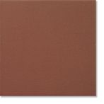 Agrob Buchtal Bodenfliese 25x25x1,0cm herbstlaub R11/B 010S-1630