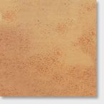 Agrob Buchtal Bodenfliese 25x25x1,0 cm Goldline goldocker R11/A 851-1630