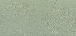 Agrob Buchtal Bodenfliese 12,5x25x1,0 cm Goldline goldgrau R11/A 855-1010