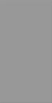 Agrob Buchtal Wandfliese 50x100x0,8cm Chroma steingrau mittel 552035-352050HK