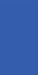 Agrob Buchtal Wandfliese 50x100x0,8cm Chroma blau dunkel 552008-352050HK