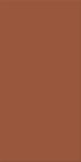 Agrob Buchtal Wandfliese 50x100cm Chroma ocker dunkel 552024-352050HK