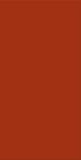 Agrob Buchtal Wandfliese 50x100cm Chroma lachs aktiv 552025-352050HK