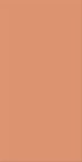 Agrob Buchtal Wandfliese 50x100cm Chroma lachs mittel 552027-352050HK