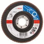Bosch Fächerschleifscheibe X551, Expert for Metal, gerade, 125 mm, 22,23 mm, 60, Glas