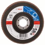Bosch Fächerschleifscheibe X551, Expert for Metal, gerade, 125 mm, 22,23 mm, 120, Glas