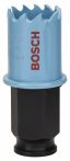 Bosch Lochsäge Special Sheet Metal, 22 mm, 7/8