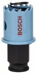 Bosch Lochsäge Special Sheet Metal, 25 mm, 1