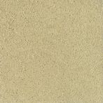 Claytec CLAYFIX Lehmanstrich GRGE 1.1 - schilf-gelb