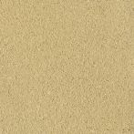 Claytec CLAYFIX Lehmanstrich GRGE 2.1 - schilf-gelb