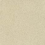 Claytec CLAYFIX Lehmanstrich SCGE 2.3 - sahara-beige