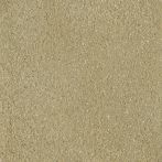 Claytec CLAYFIX Lehmanstrich SCGE 3.0 - sahara-beige
