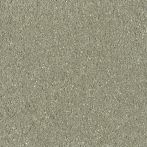 Claytec CLAYFIX Lehmanstrich SCGR 2.0 - jade-grün