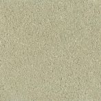 Claytec CLAYFIX Lehmanstrich SCGR 3.1 - jade-grün