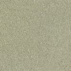 Claytec CLAYFIX Lehmanstrich SCGR 4.0 - jade-grün