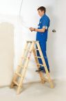 Euroline Holz-Stufenstehleiter Nr. 10503 | 2 x 3 Sprossen | Länge: 0,75m
