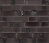 Feldhaus Klinkerriemchen carbona R565NF14 240x14x71mm - geo ferrum