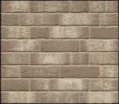 Feldhaus Klinkerriemchen sintra R682NF14 240x14x71mm - argo pandra