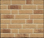 Feldhaus Klinkerriemchen sintra R688NF14 240x14x71mm - sabioso
