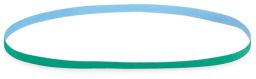 Flex 533x9 CE-K60 VE10 Schleifband CeraFLEX, Art.Nr.: 434698