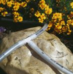 Gardena T Stück für 4 mm Schläuche (2 St)