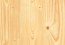 Knauf Designboard 310 Creative - Waterline - Motiv Fichte Hell KD-0005-01-C
