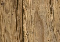 Knauf Designboard 310 Creative - Waterline - Motiv Cottage Spruce KD-0072-00-C