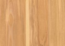 Knauf Designboard 310 Creative - Waterline - Motiv Kernesche Europäisch KD-0169-00-C