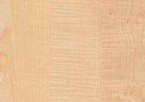 Knauf Designboard 310 Creative - Waterline - Motiv Riegelahorn KD-0170-00-C