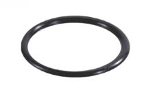 HT-Lippendichtring - DN 50
