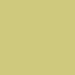 Lasselsberger Wandfliese 20x20cm COLOR ONE WAA1N200 RAL 0908040 glänzend