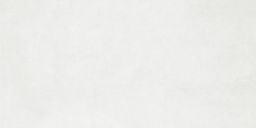 Lasselsberger Wandfliese 30x60cm EXTRA WADV4723 hellgrau matt