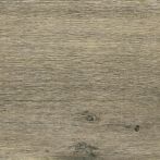 Lasselsberger Bodenfliese 20x20cm SALOON DAK26748 dunkelbraun matt