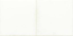 Lasselsberger Wandfliese 20x40cm RETRO WARMB521 weiß glänzend
