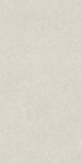 Lasselsberger Wandfliese 30x60cm PIAZETTA WARV4261 hellgrau matt