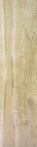Marazzi Bodenfliese 30 x 120 cm Treverkhome Betulla R11 - MJWJ