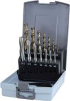 NW Maschinengewindebohrerset DIN371/376 Form B M3-M12 14tlg.HSS-Co5 Ku.-Kassette (4000602048)