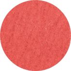 NW Schleifblatt CER CO-COOL D.38mm K.36 16000min-¹ PFERD (4000844512)