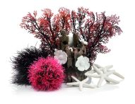 OASE biOrb Decor Set Red Forest 15 l für alle biOrb-Aquarien