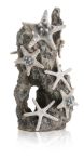 OASE biOrb Seesternfelsen Ornament
