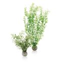 OASE biOrb Winterblume Set 2