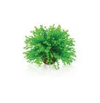 OASE biOrb Blumenball Aquaristik - Grün