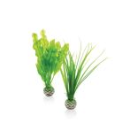 OASE biOrb Pflanzen Set - Grün