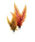 OASE biOrb Herbstfarn Set 2