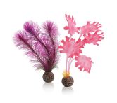 OASE biOrb Seetang Set - Pink
