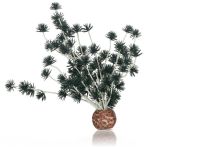 OASE biOrb Bonsai Ball - Schwarz