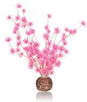 OASE biOrb Bonsai Ball - Pink