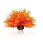 OASE biOrb Aquarien Seelilie - Feuer